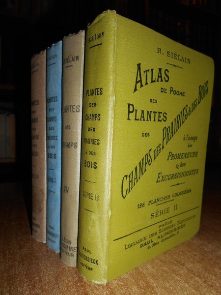 ATLAS DE POCHE DES PLANTES DES CHAMPS, DES PRAIRIES ET …