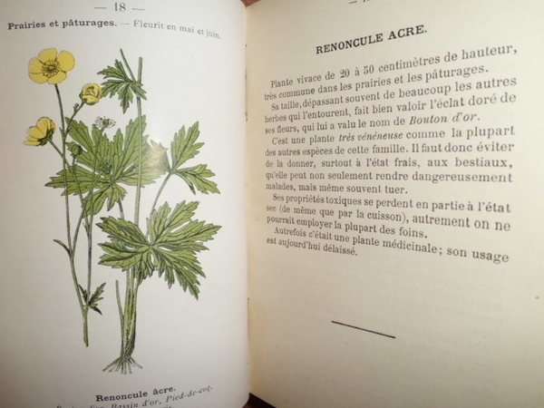 ATLAS DE POCHE DES PLANTES DES CHAMPS, DES PRAIRIES ET …