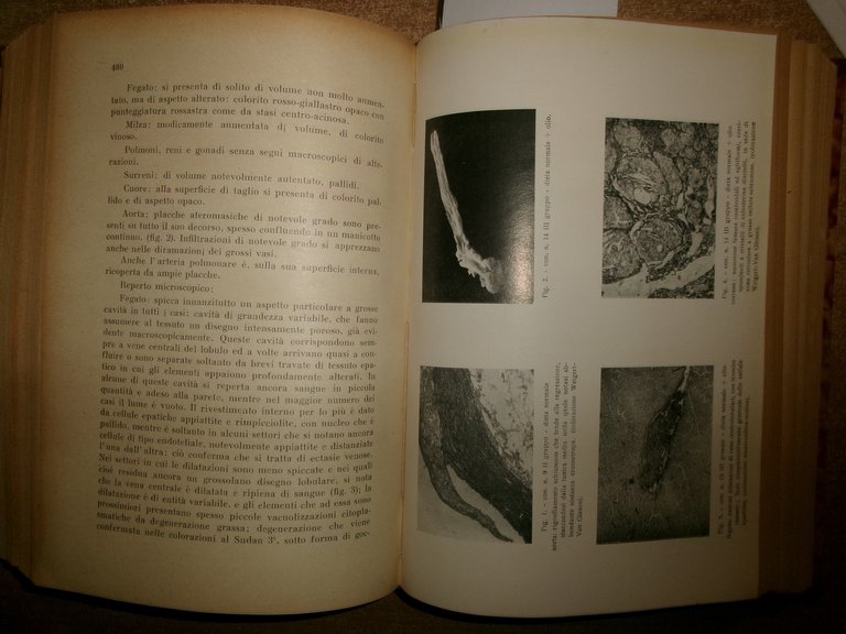 Autori Vari. FOLIA CARDIOLOGICA. Atti Soc. It. Card. 1940/1950