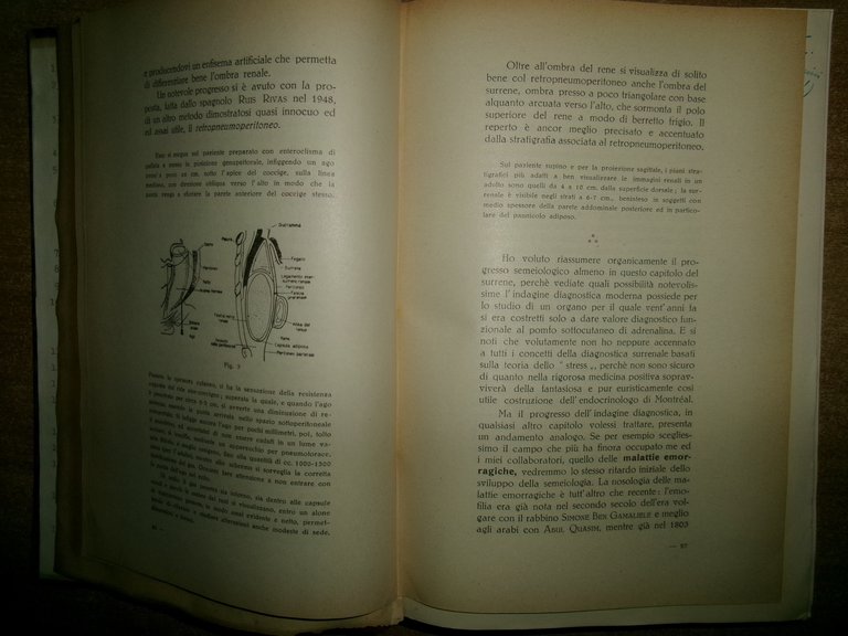 Autori Vari MISCELLANEA di numerosi opuscoli/estratti riguardanti la medicina...
