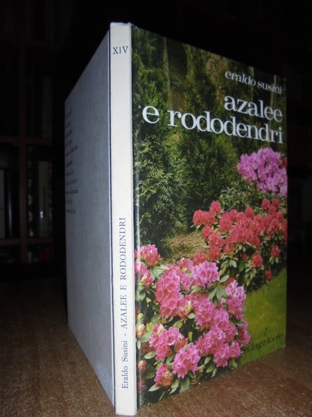 Azalee e Rododendri