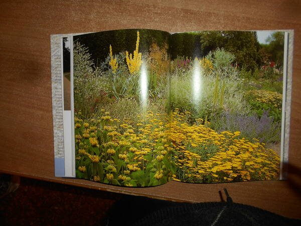 Beth Chatto's Gravel Garden. Drought-resistant planting through the year