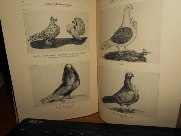 Bibliographie der Tauben
