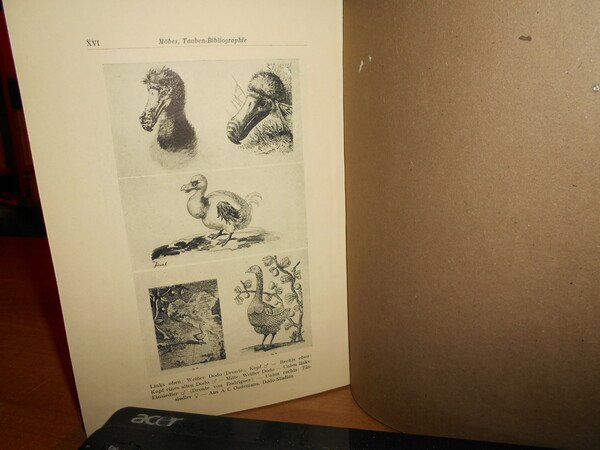 Bibliographie der Tauben