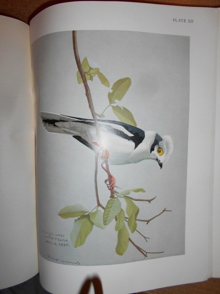 BIRD BOOKS AND BIRD ART. An outline of the Literary …