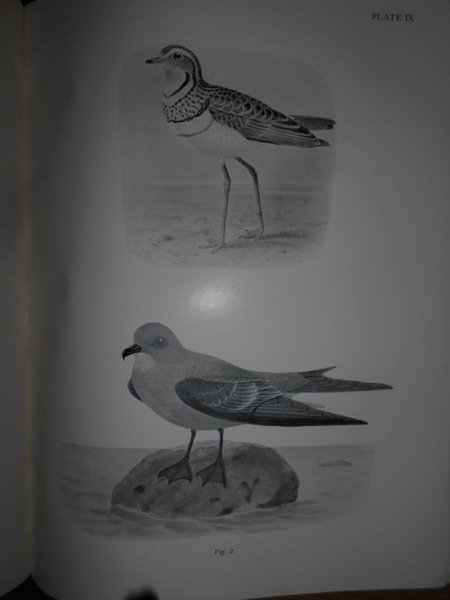 BIRD BOOKS AND BIRD ART. An outline of the Literary …