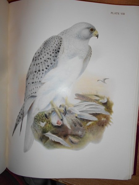 BIRD BOOKS AND BIRD ART. An outline of the Literary …