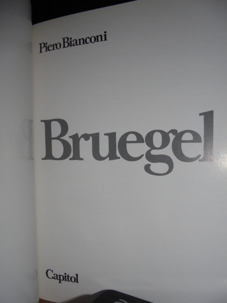 BRUEGEL