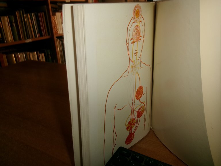 C. W. LEADBEATER. CHAKRAS I Sensi Psichici dell' Uomo 1979