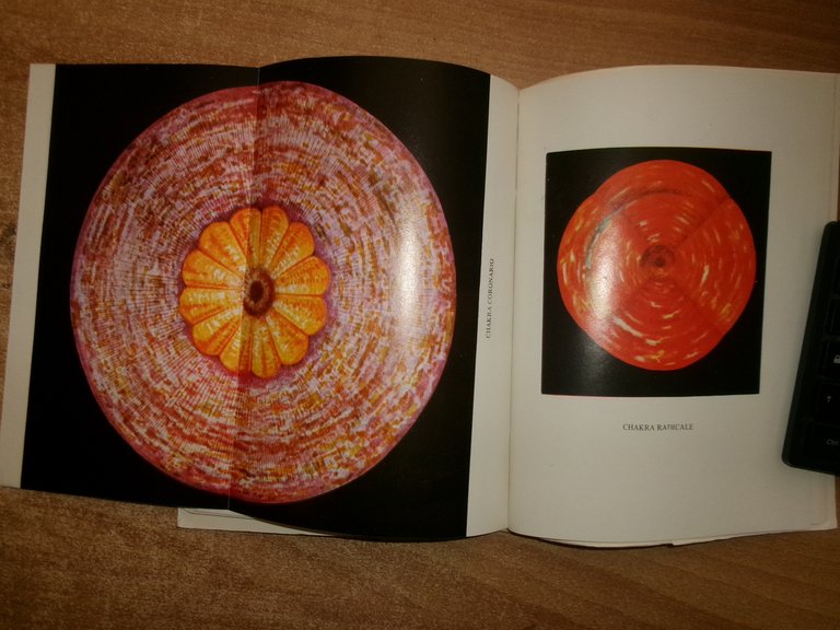 C. W. LEADBEATER. CHAKRAS I Sensi Psichici dell' Uomo 1979