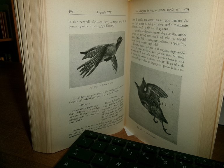 (Caccia) LUIGI GHIDINI. Nuovo Manuale del Cacciatore X edizione 1942