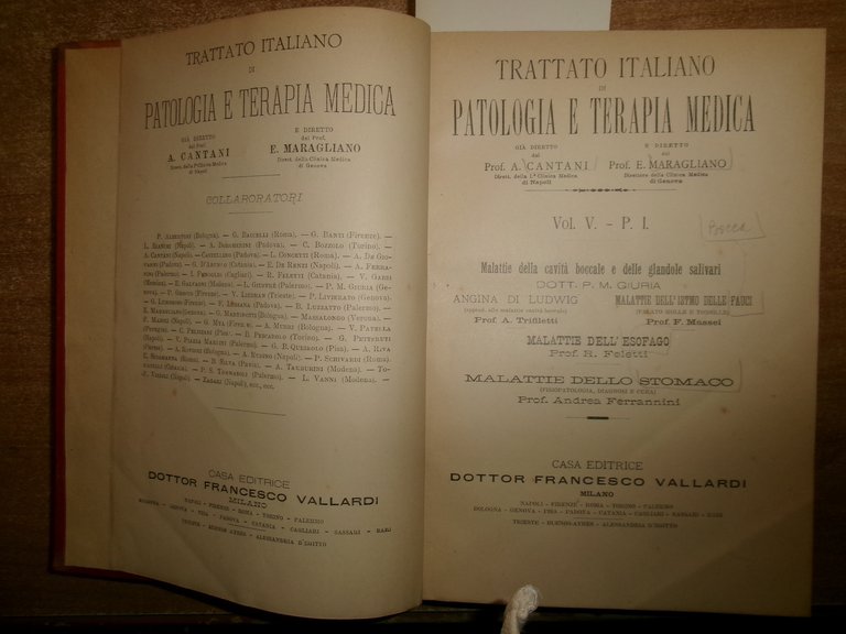 CANTANI MARAGLIANO Trattato Italiano Di Patologia E Terapia Medica...Vol. V. …