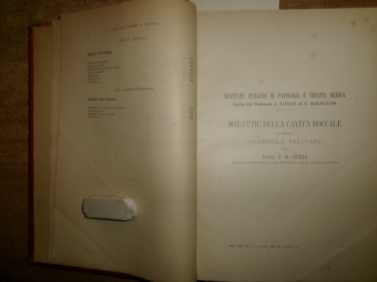 CANTANI MARAGLIANO Trattato Italiano Di Patologia E Terapia Medica...Vol. V. …