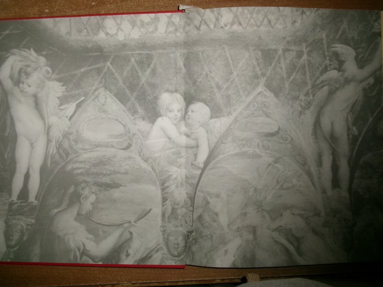 Cara PARMA - Bavagnoli Carlo - 1993