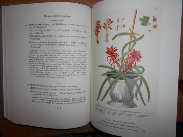 CATALOGUE OF BOTANICAL BOOKS in the Collection of RACHEL McMASTERS …
