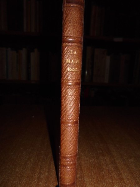 Chiromancie: études sur la main, le crane, la face