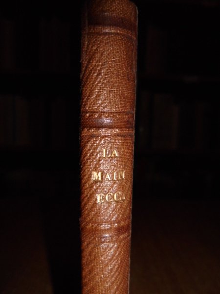 Chiromancie: études sur la main, le crane, la face