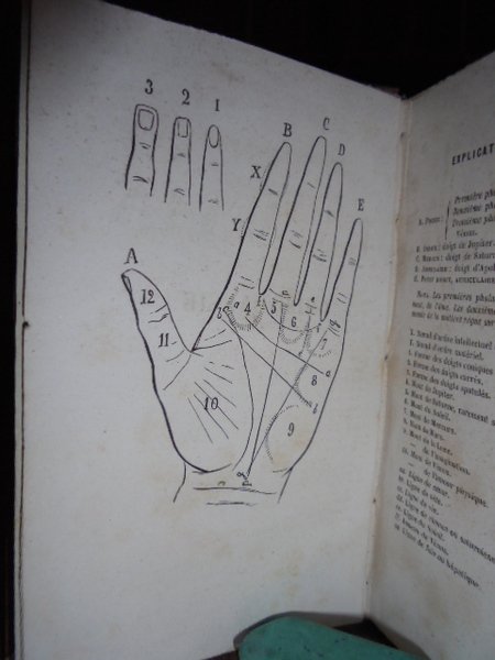 Chiromancie: études sur la main, le crane, la face