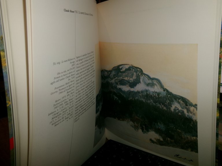 Claude Monet e i suoi amici. La collezione Monet da …