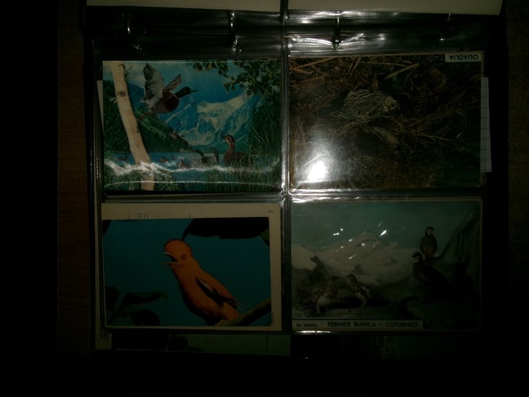 Collezione di cartoline di vari argomenti alcune viaggiate in album …