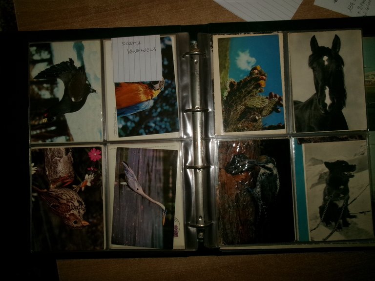 Collezione di cartoline di vari argomenti alcune viaggiate in album …