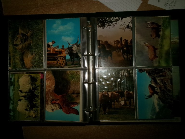 Collezione di cartoline di vari argomenti alcune viaggiate in album …