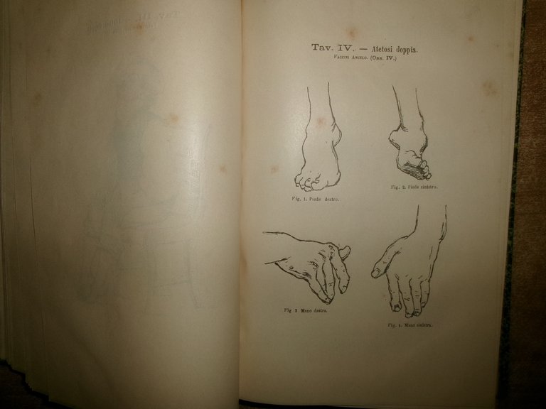 Collezione Italiana di Letture sulla Medicina serie V. Vallardi (1885)