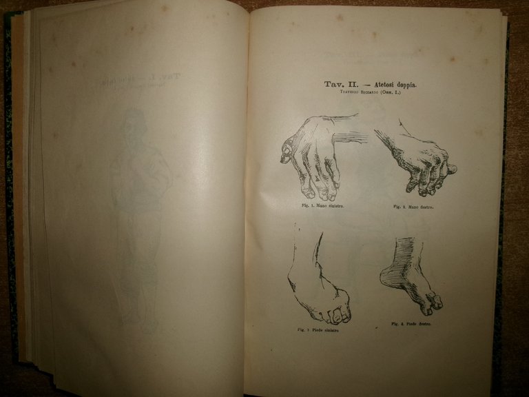 Collezione Italiana di Letture sulla Medicina serie V. Vallardi (1885)