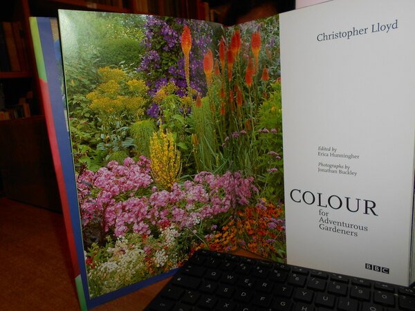 COLOUR for adventurous gardeners