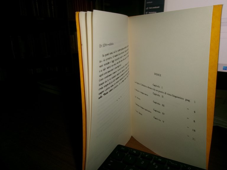 DANIEL. Alfabeto Ebraico Lingua Sacra 1978