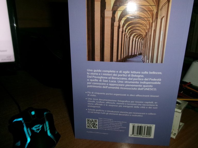 Daniele Fraccaro. (Guida) I PORTICI DI BOLOGNA 2021