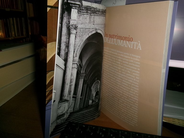 Daniele Fraccaro. (Guida) I PORTICI DI BOLOGNA 2021