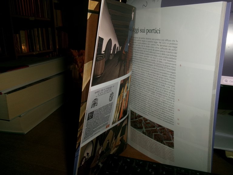 Daniele Fraccaro. (Guida) I PORTICI DI BOLOGNA 2021