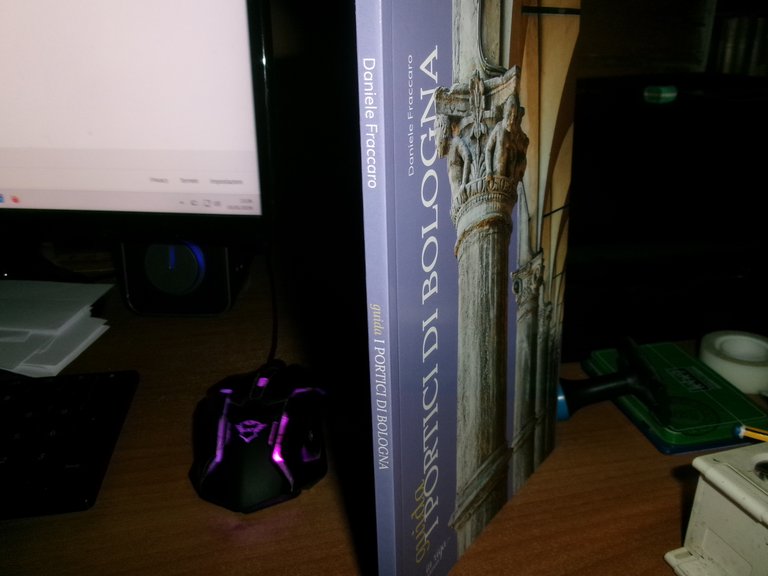 Daniele Fraccaro. (Guida) I PORTICI DI BOLOGNA 2021