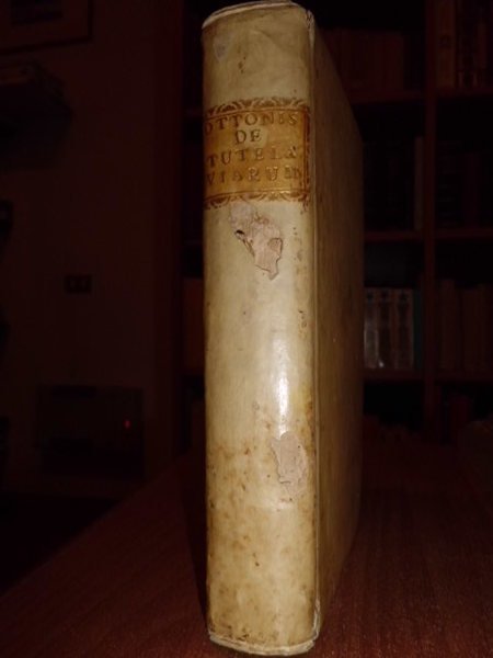 DE TUTELA VIARUM PUBLICARUM LIBER SINGULARIS; CUJUS PARS I EST …