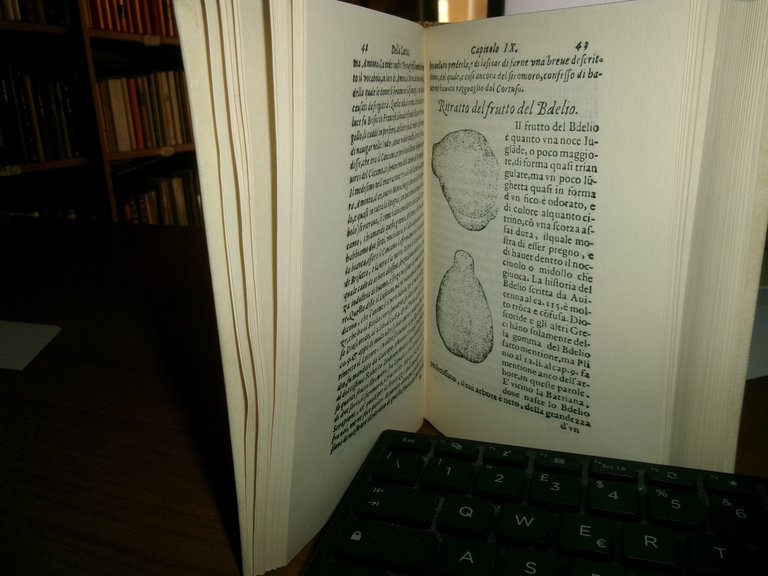 Dell' historia dei semplici aromati et altre cose che vengono …