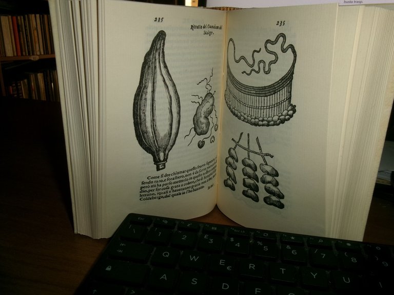 Dell' historia dei semplici aromati et altre cose che vengono …