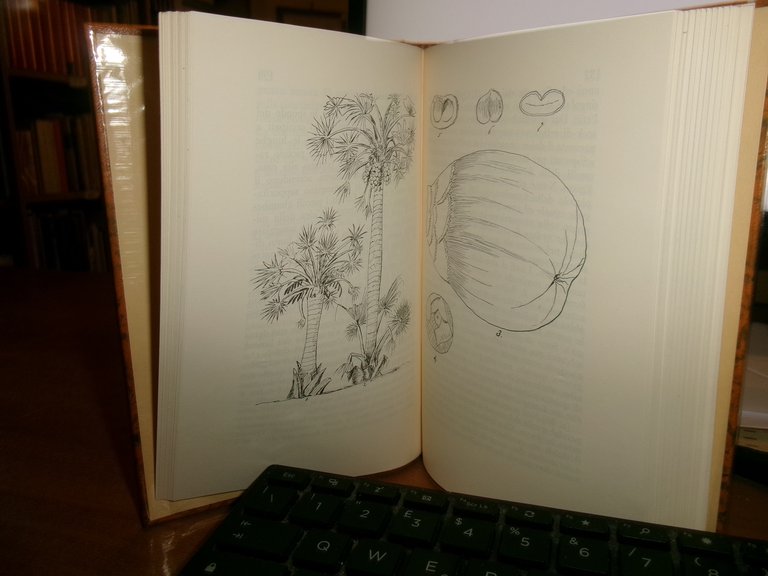 DIARI E CARTEGGI 1858-1872 di GIOVANNI MIANI Longanesi 1973