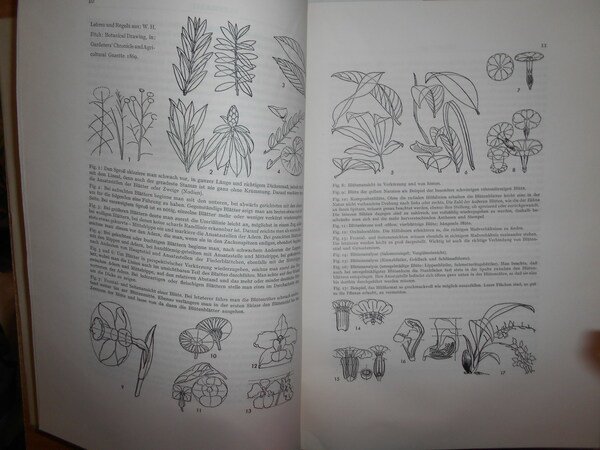 DIE BOTANISCHE BUCHILLUSTRATION ihre Geschichte und Bibliographie.