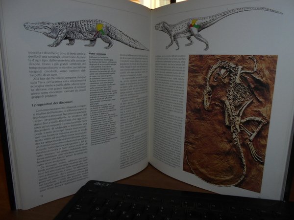 DINOSAURI. Misteri svelati e nuove incognite