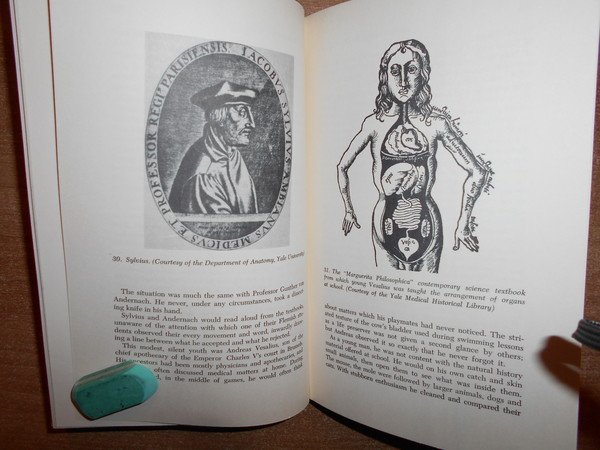 DISCOVERERS of BLOOD CIRCULATION. From Aristotle to the Times of …