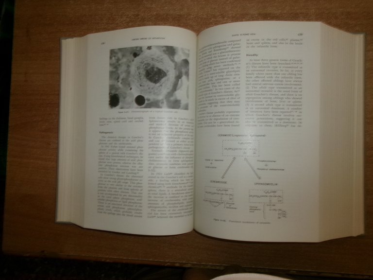 DISEASES OF METABOLISM by GARFIELD G. DUNCAN 1964