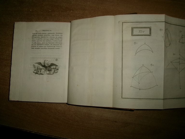 Disquisitiones physico-mathematicae, nunc primun editae - FONTANA Gregorio- 1780