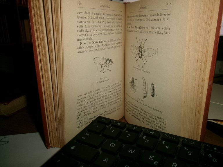 DITTERI ITALIANI. MANUALI HOEPLI.