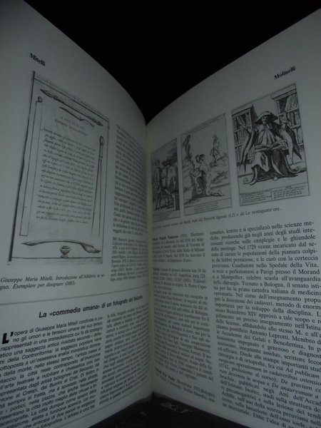 Dizionario dei Bolognesi