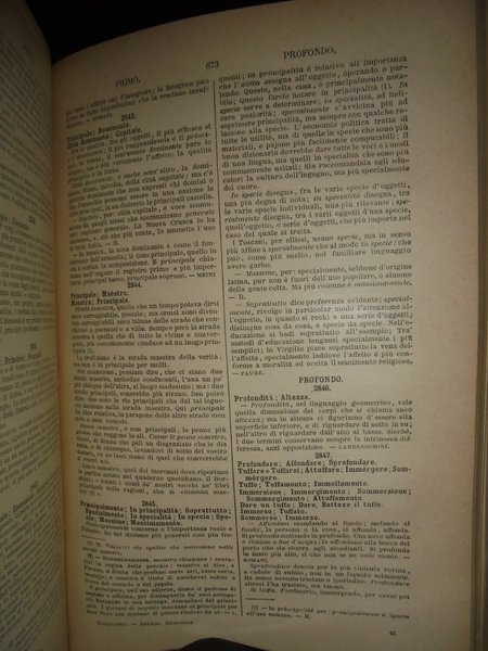 DIZIONARIO dei Sinonimi della Lingua Italiana. Completamente riveduto e aumentato …