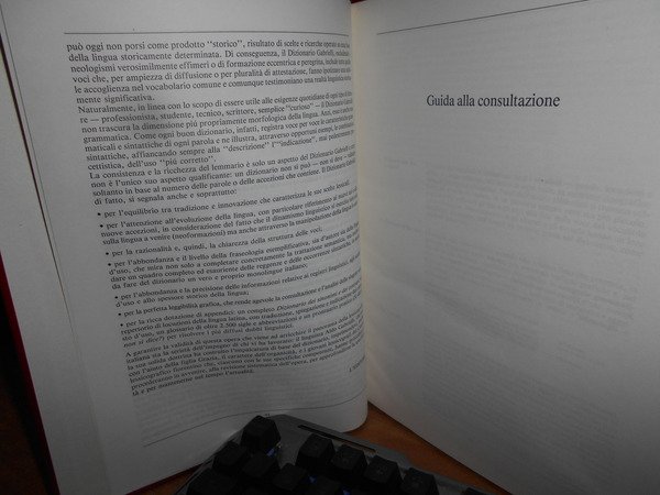 Dizionario della lingua italiana