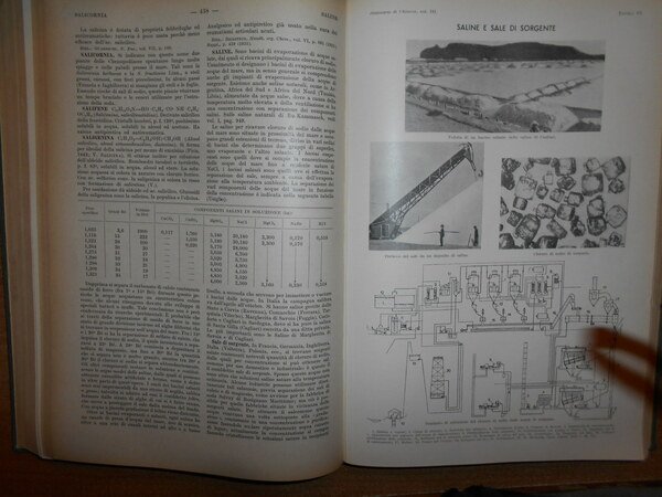 DIZIONARIO di CHIMICA GENERALE e INDUSTRIALE. Chimica agraria, biologica, bromatologica, …