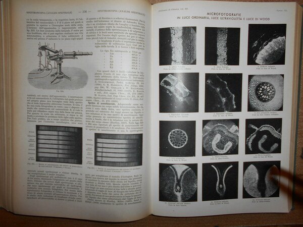 DIZIONARIO di CHIMICA GENERALE e INDUSTRIALE. Chimica agraria, biologica, bromatologica, …