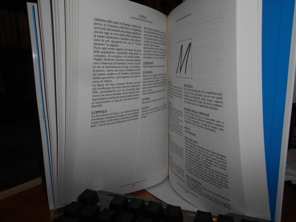 Dizionario di MAGIA. Numeri. Sogni. Lotto. Amuleti. Talismani. Animali. Mostri. …